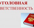 "Уголовная и административная ответственность"