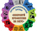 "Профессиональные пробы"